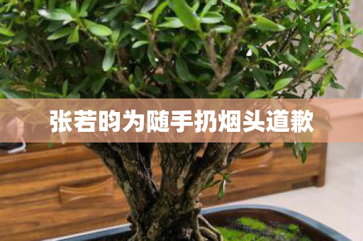 张若昀为随手扔烟头道歉