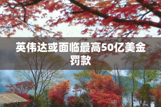 英伟达或面临最高50亿美金罚款
