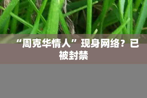 “周克华情人”现身网络？已被封禁