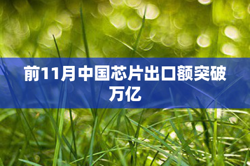 前11月中国芯片出口额突破万亿