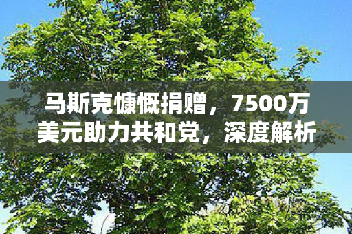 马斯克慷慨捐赠，7500万美元助力共和党，深度解析其背后的动机与影响