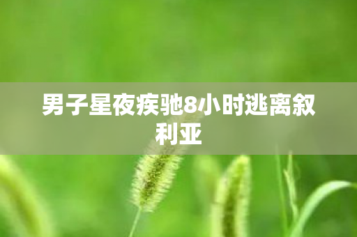 男子星夜疾驰8小时逃离叙利亚