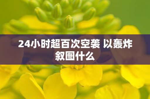 24小时超百次空袭 以轰炸叙图什么