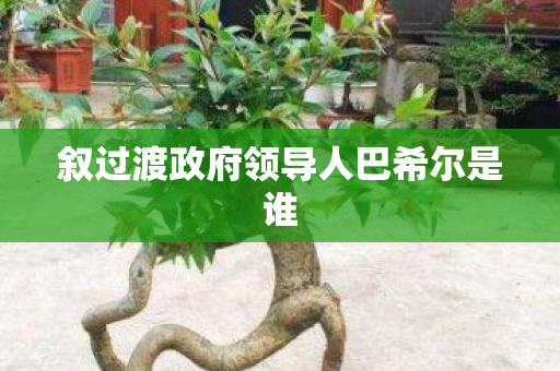 叙过渡政府领导人巴希尔是谁