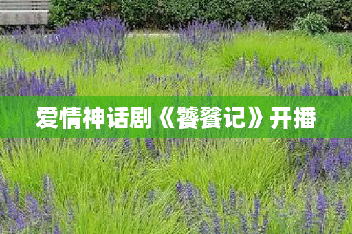 爱情神话剧《饕餮记》开播