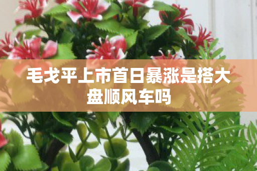 毛戈平上市首日暴涨是搭大盘顺风车吗