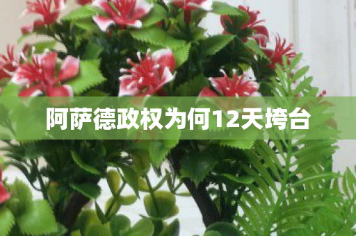 阿萨德政权为何12天垮台