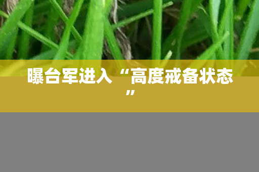 曝台军进入“高度戒备状态”