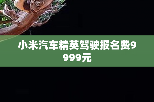 小米汽车精英驾驶报名费9999元