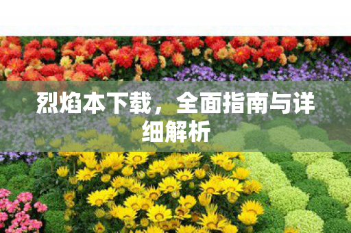 烈焰本下载，全面指南与详细解析
