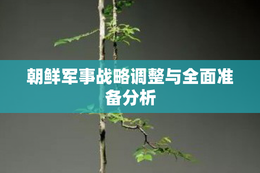 朝鲜军事战略调整与全面准备分析