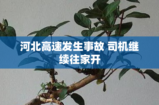 河北高速发生事故 司机继续往家开