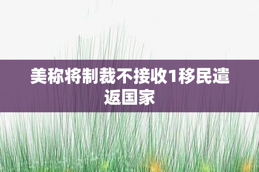 美称将制裁不接收1移民遣返国家