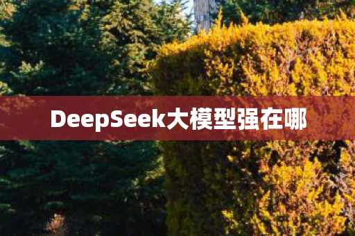 DeepSeek大模型强在哪