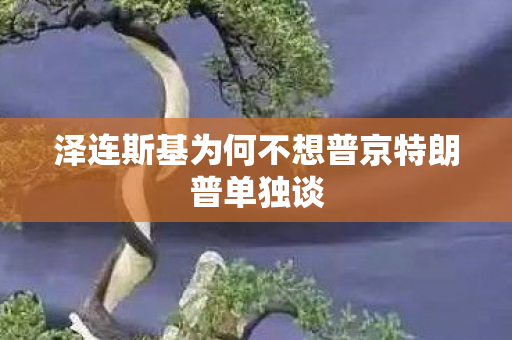 泽连斯基为何不想普京特朗普单独谈