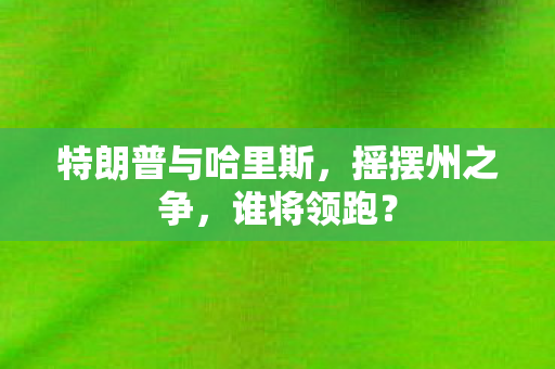 特朗普与哈里斯，摇摆州之争，谁将领跑？