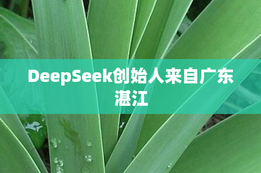 DeepSeek创始人来自广东湛江