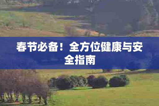 春节必备！全方位健康与安全指南