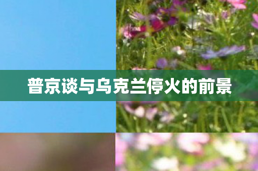 普京谈与乌克兰停火的前景
