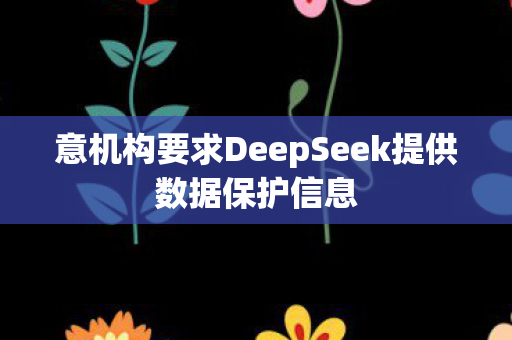意机构要求DeepSeek提供数据保护信息