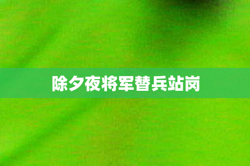除夕夜将军替兵站岗