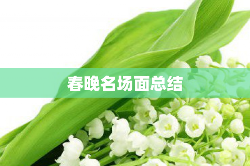 春晚名场面总结