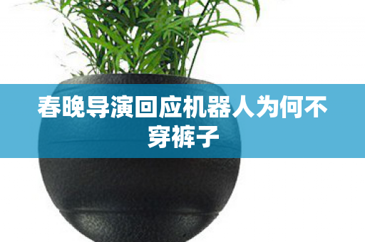 春晚导演回应机器人为何不穿裤子