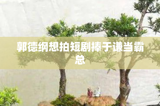 郭德纲想拍短剧捧于谦当霸总