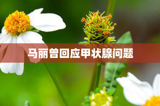 马丽曾回应甲状腺问题