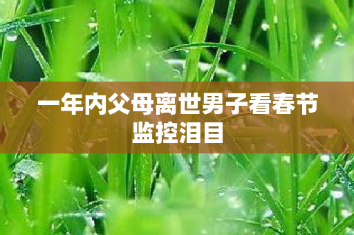 一年内父母离世男子看春节监控泪目