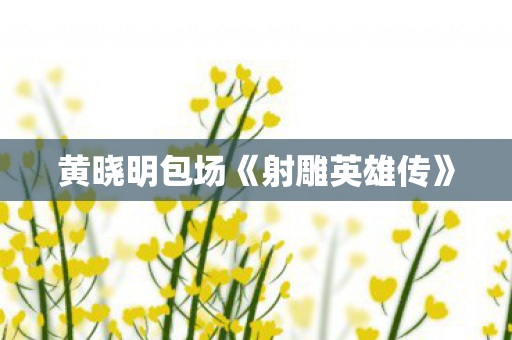 黄晓明包场《射雕英雄传》