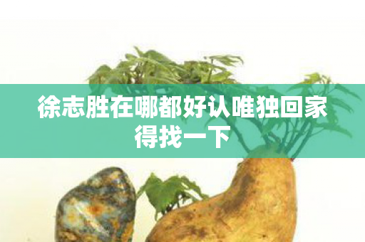 徐志胜在哪都好认唯独回家得找一下