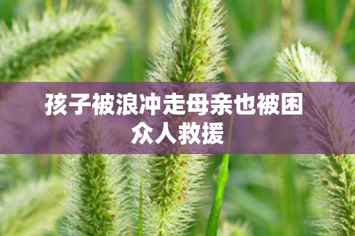 孩子被浪冲走母亲也被困 众人救援