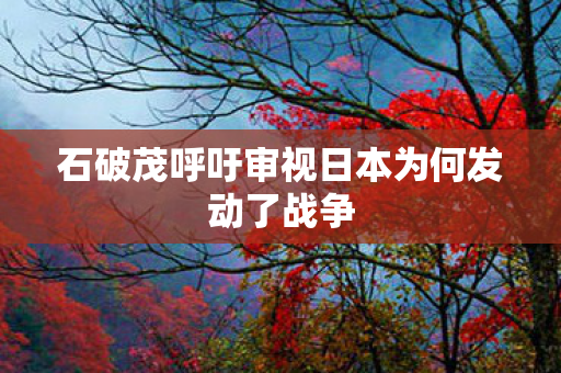 石破茂呼吁审视日本为何发动了战争