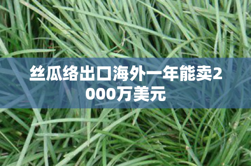 丝瓜络出口海外一年能卖2000万美元