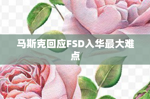 马斯克回应FSD入华最大难点