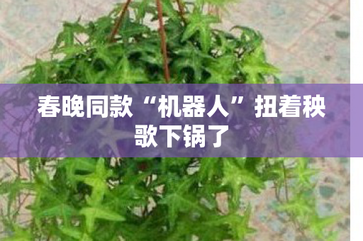 春晚同款“机器人”扭着秧歌下锅了