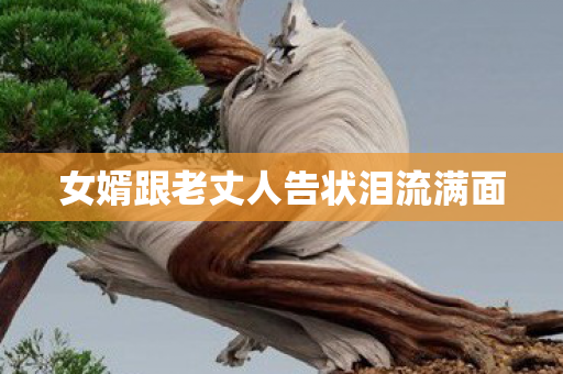 女婿跟老丈人告状泪流满面