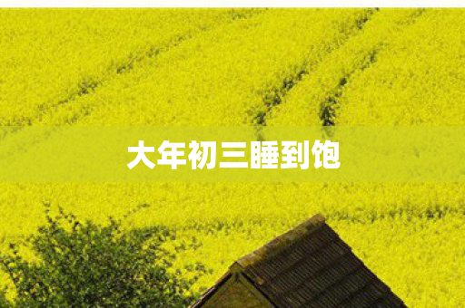 大年初三睡到饱