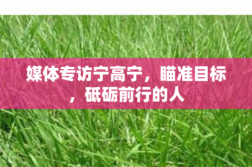 媒体专访宁高宁，瞄准目标，砥砺前行的人