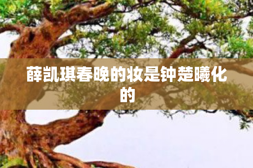 薛凯琪春晚的妆是钟楚曦化的