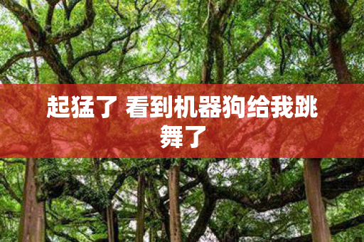 起猛了 看到机器狗给我跳舞了