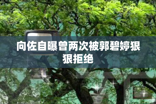 向佐自曝曾两次被郭碧婷狠狠拒绝