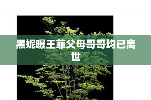 黑妮曝王菲父母哥哥均已离世