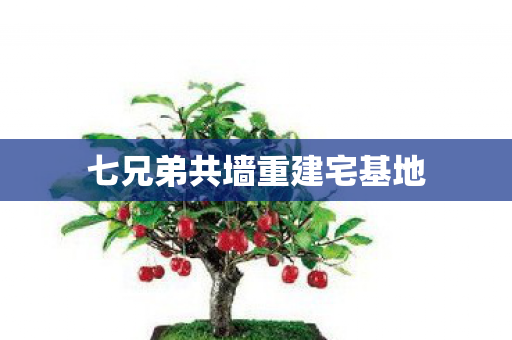 七兄弟共墙重建宅基地