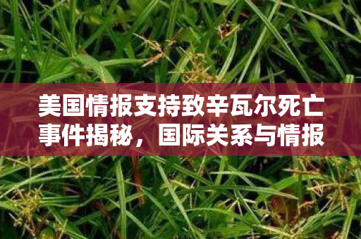美国情报支持致辛瓦尔死亡事件揭秘，国际关系与情报网络交织下的悲剧