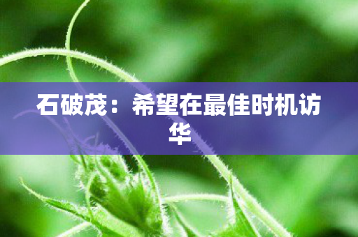 石破茂：希望在最佳时机访华