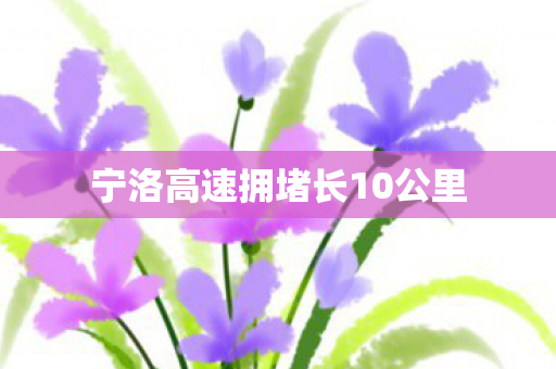 宁洛高速拥堵长10公里