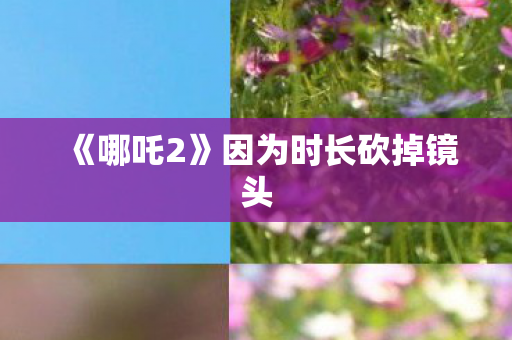 《哪吒2》因为时长砍掉镜头