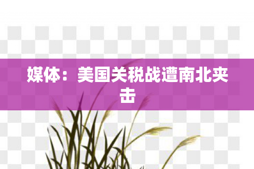 媒体：美国关税战遭南北夹击
